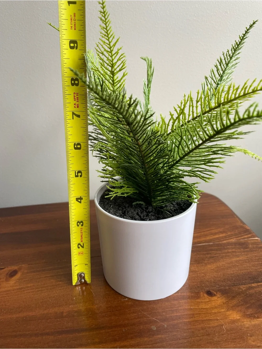 Project 62 Faux Green Fern in White Ceramic Pot
